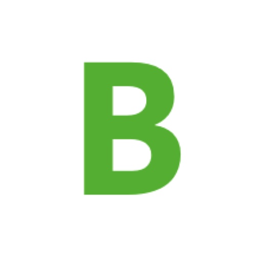 Logo for "Brasileirão 2024"