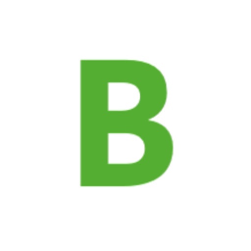 Logo for "Barsileirão 2025"